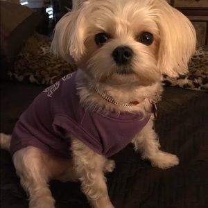 Meet your Posher, Janet